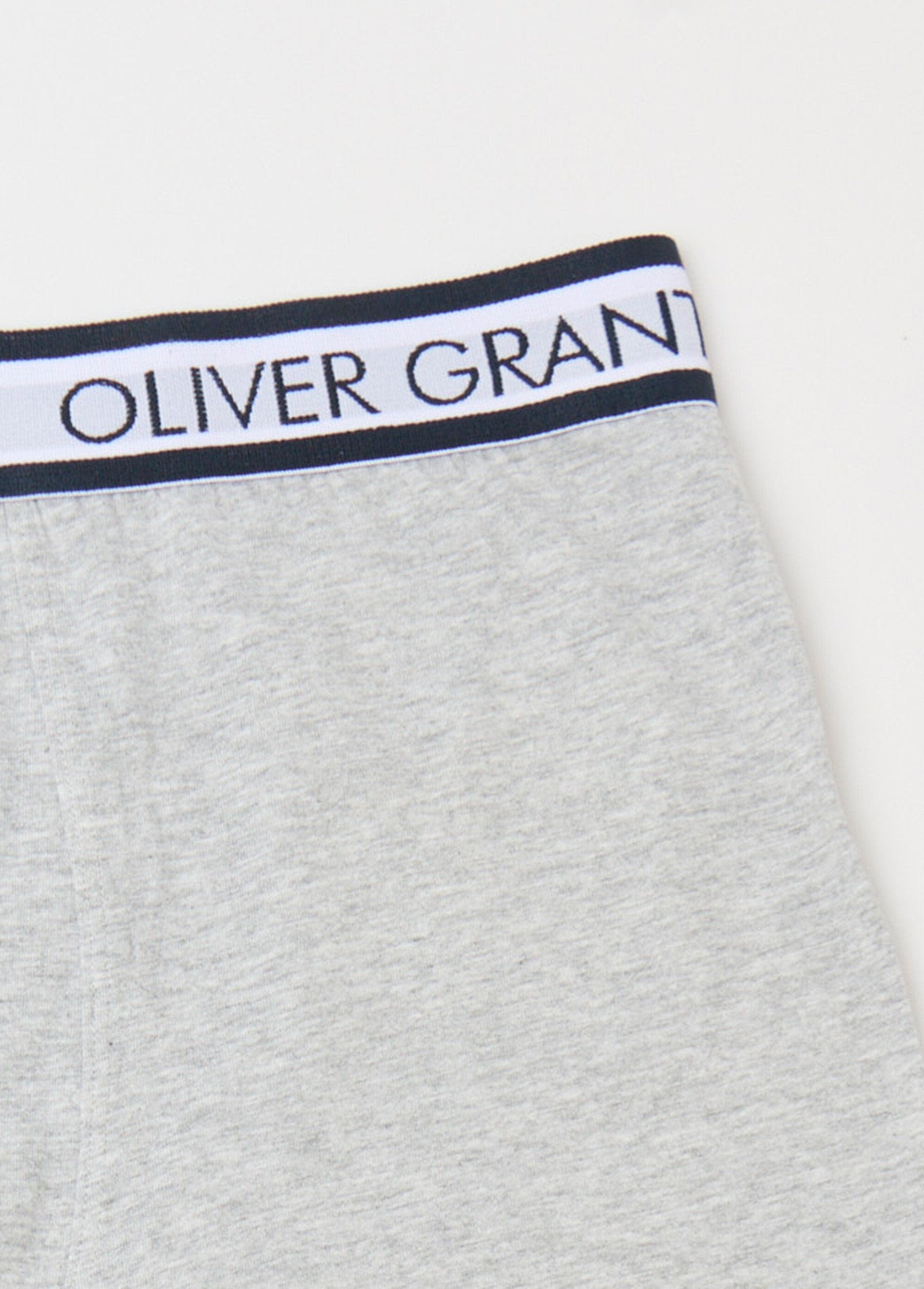 Plain_boxer_shorts_with_logo_waistband_Gray_DE1_slim