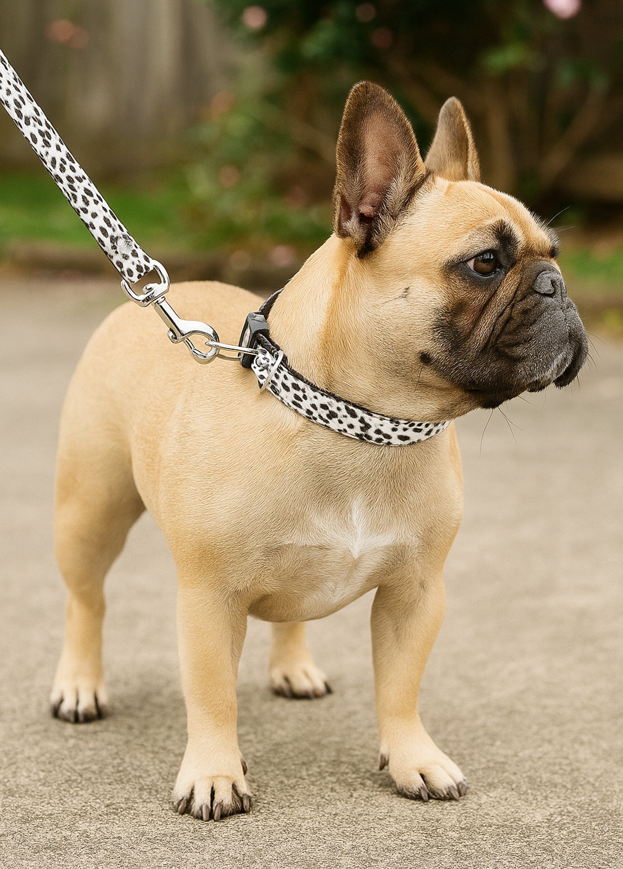 Leopard_print_dog_collar_and_leash_White_SF1_slim