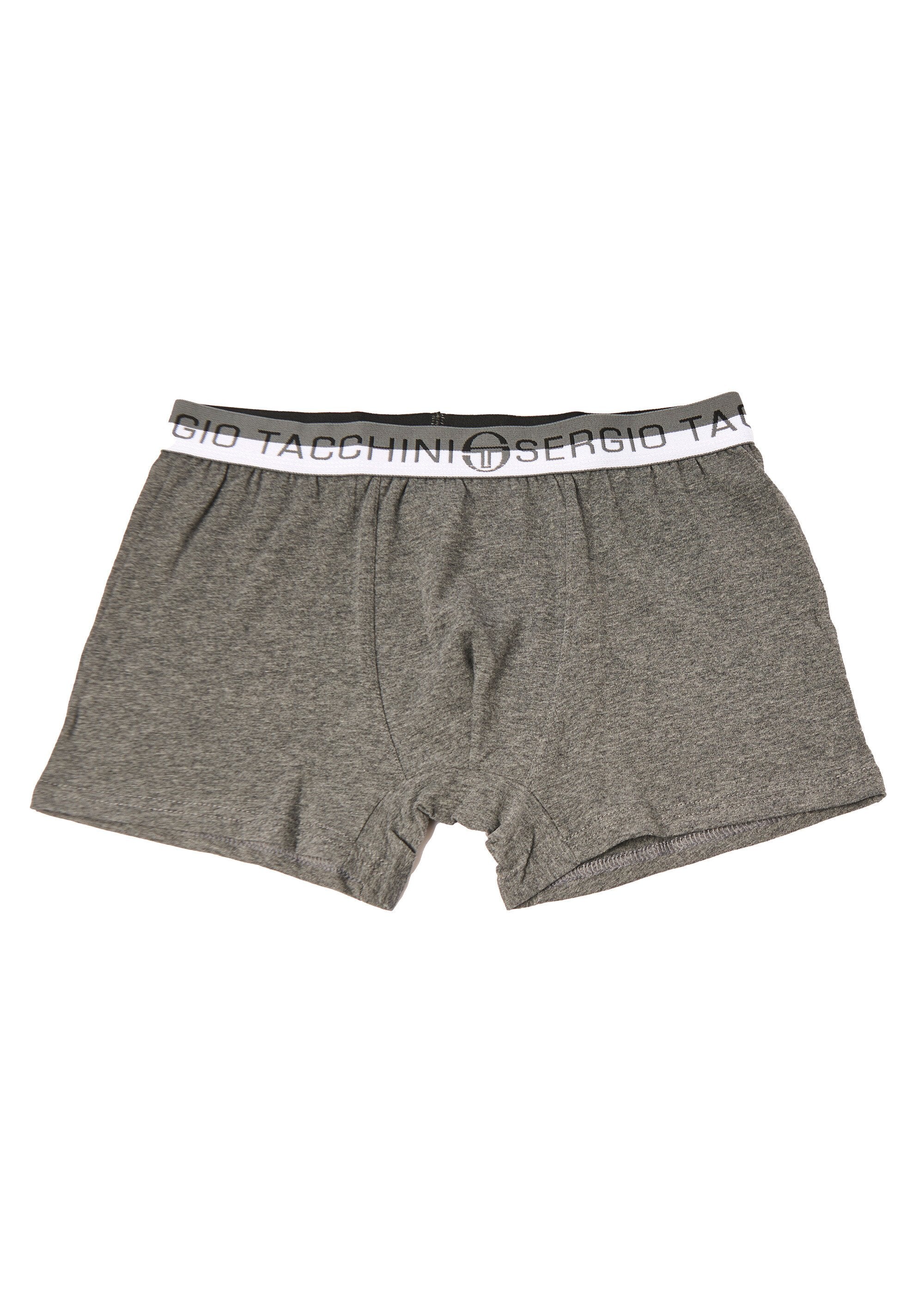 Plain_boxer_shorts_with_logo_waistband_Gray_FA1_slim