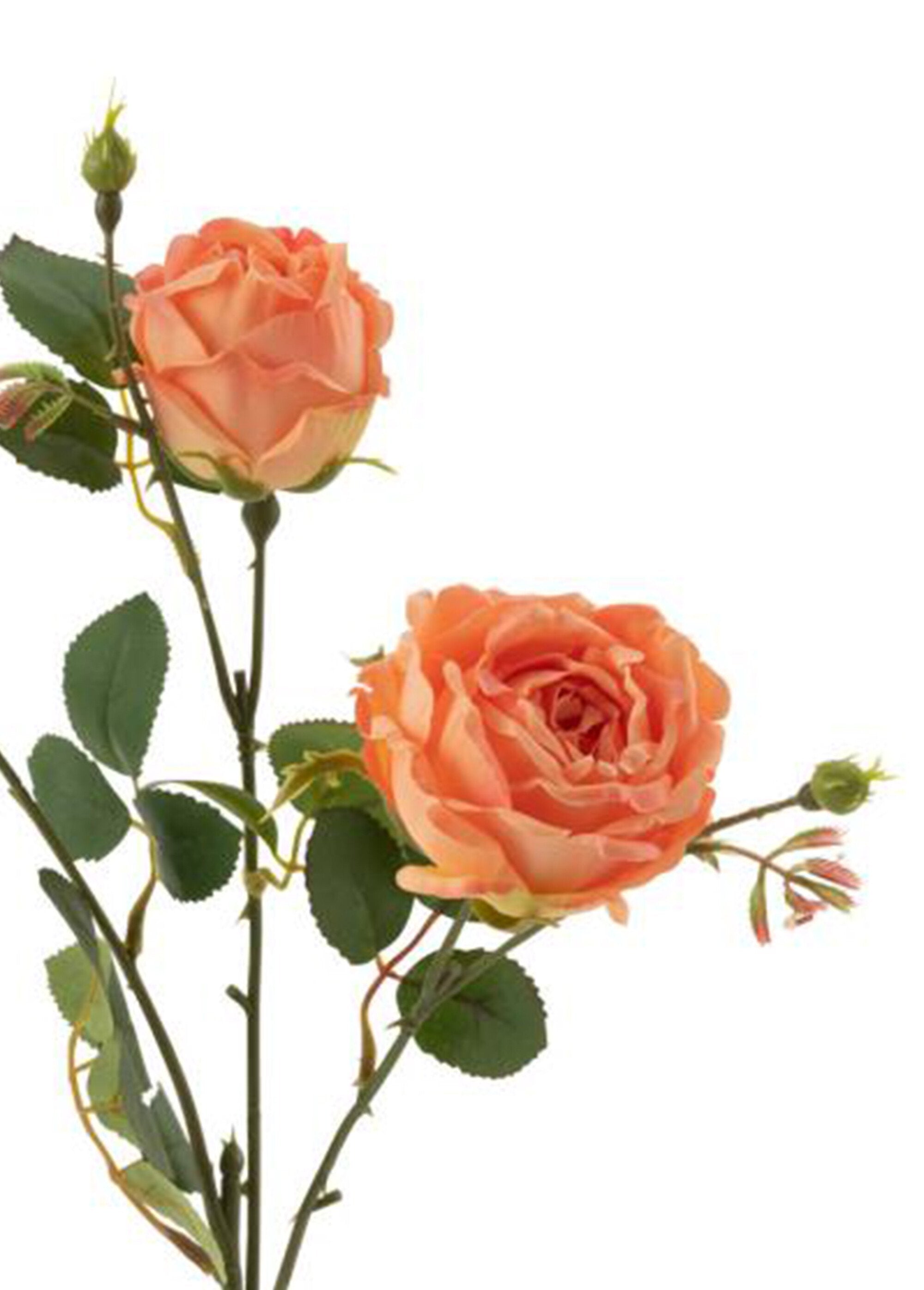 Fabric_roses_with_stem_and_leaves_Orange_DE1_slim