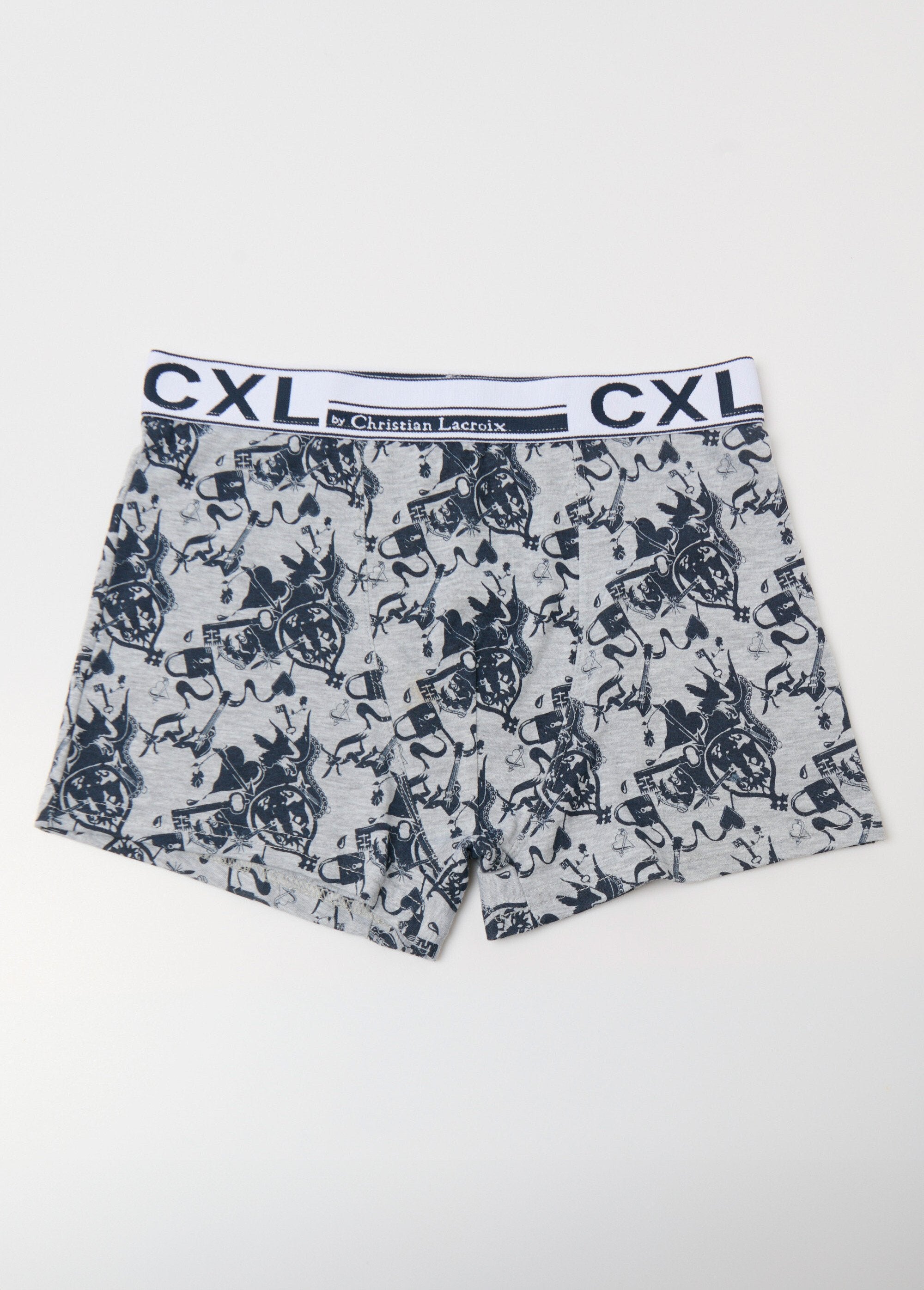Logo_print_boxer_shorts_Blue_print_FA1_slim